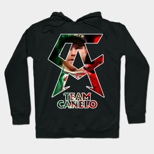 the winner of canelo alvarez Hoodie